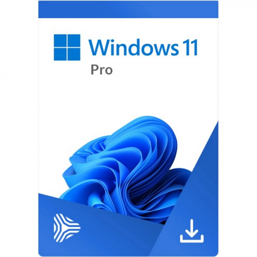 Licenta Windows 11 Pro MICROSOFT 4YR-00316, 64-bit, Engleza, DVD