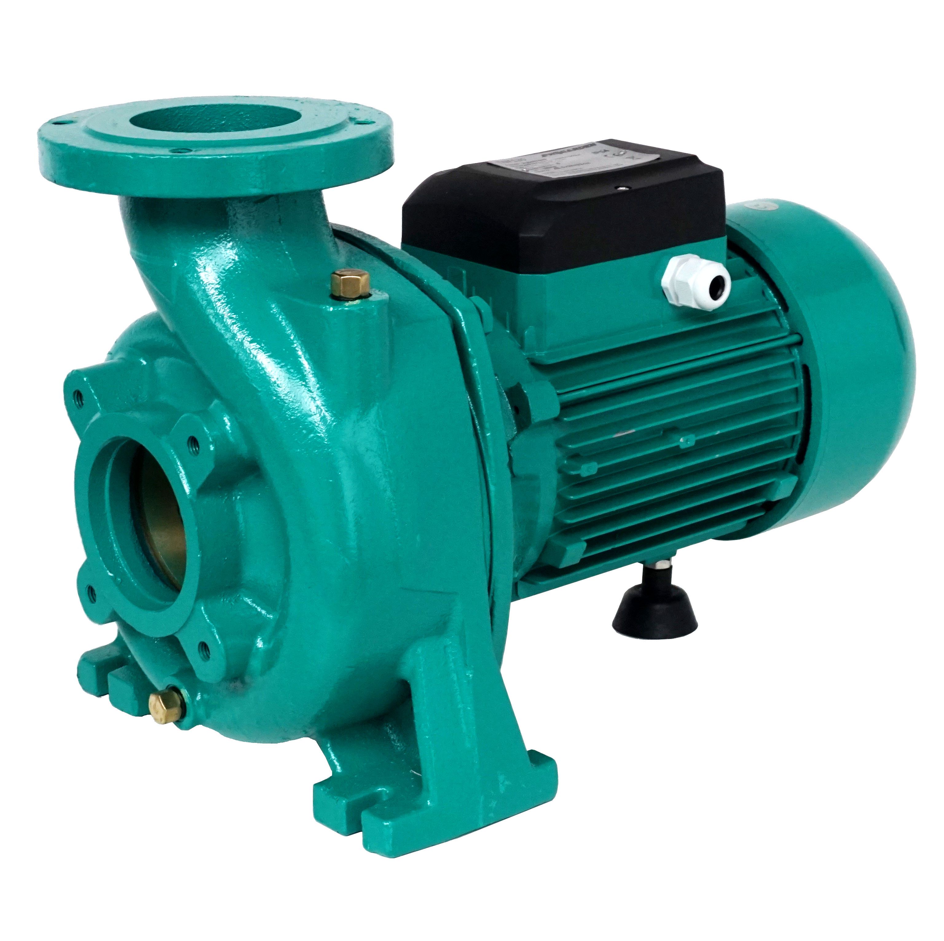 Pompa de suprafata apa curata PROGARDEN PF 6013 4570000021, racord 3 inch, 2.2 kW, debit 1000 L/min, inaltime 13 m