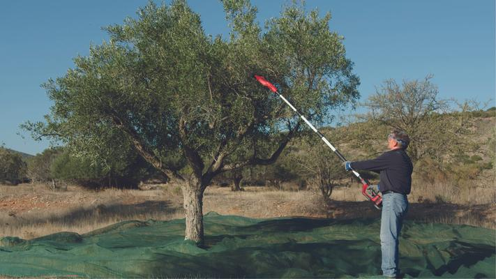 Masina pentru scuturat masline si fructe EINHELL GE-FS 18/53 Li-Solo, 18V, telescopic 220-310 cm, fara acumulator, fara incarcator