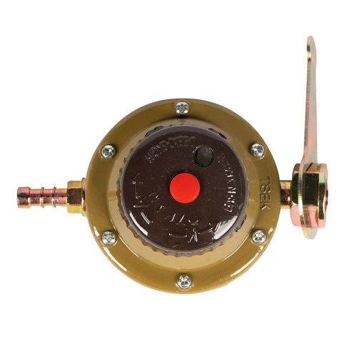 Regulator gaz butelie MICUL FERMIER, GF-0317 mare
