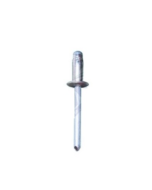 Set 10 bucati popnituri zincate, ROMIX 41269Z, Fiat, Renault, Ford, 4.8 mm