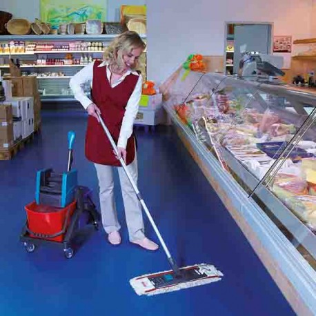 Carucior pentru spalat cu sistem de stoarcere Leifheit Professional 59101, cu 2 galeti de 17 litri, albastru si rosu, fara mop