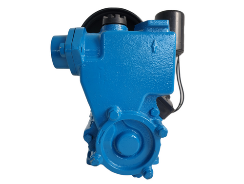 Mini Hidrofor ELEFANT Aquatic PS170 fonta, silentios, 0.37 kW, turbina bronz, max 1.8 bari