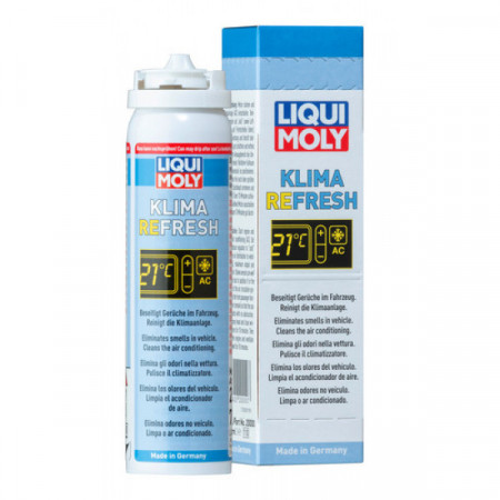 Spray pentru curatarea sistemului de aer conditionat auto LIQUI MOLY 20000, volum 75 ml